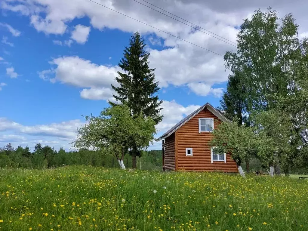 Дом в Псковская область, Пушкиногорье городское поселение, д. Блажи 24 ... - Фото 0