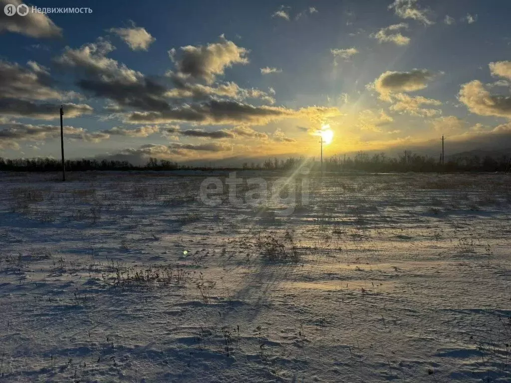 Участок в Камчатский край, Елизовский муниципальный округ, СНТ Рыбак ... - Фото 1