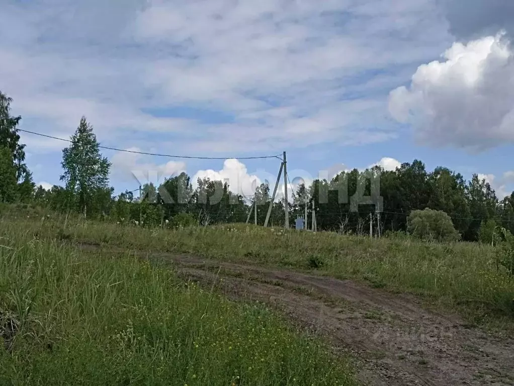 Участок в Новосибирская область, Мошковский район, с. Сокур бул. ... - Фото 2
