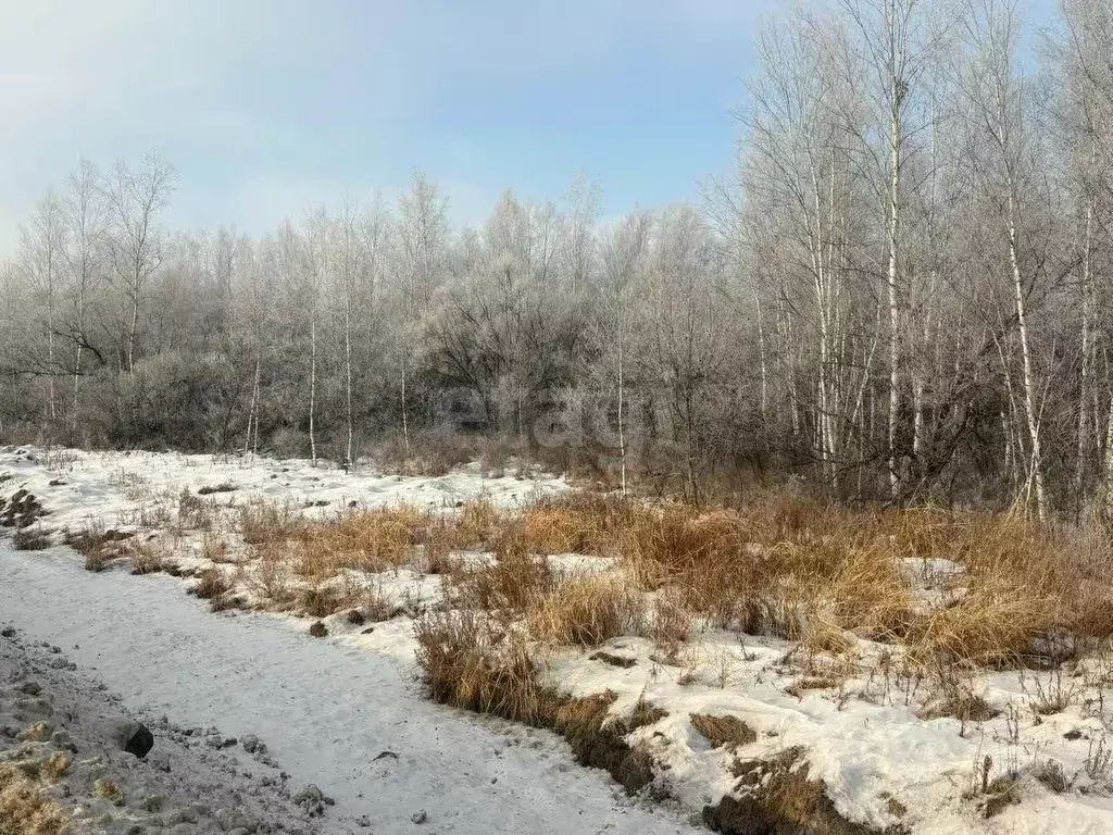 Участок в Хабаровский край, Хабаровск пос. Березовка,  (10.1 сот.) - Фото 2