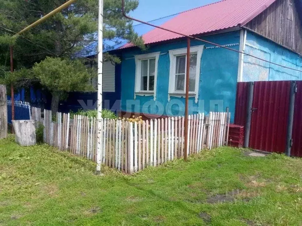 Дом в Новосибирская область, Татарский муниципальный округ, с. ... - Фото 1