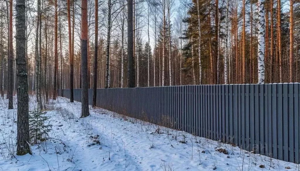 Участок в Московская область, Рузский муниципальный округ, д. ... - Фото 1