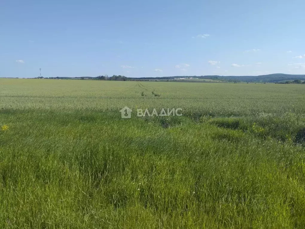 Участок в Краснодарский край, Северский район, Ильское городское ... - Фото 1