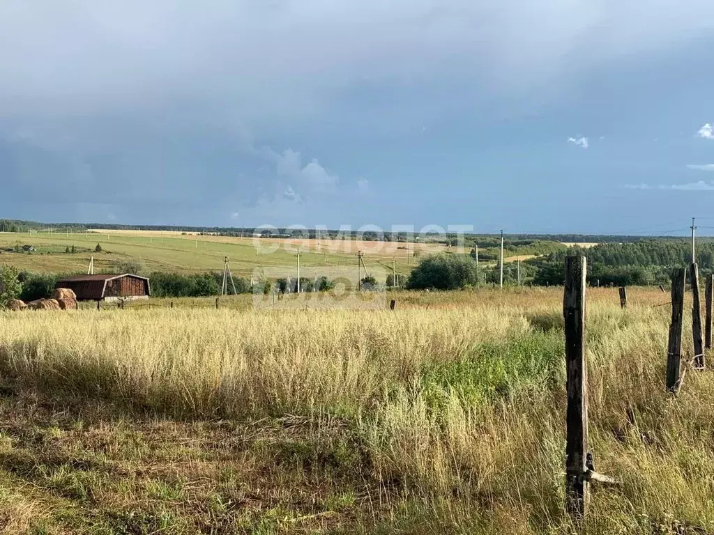 участок в татарстан, зеленодольский район, нижние вязовые . - Фото 0