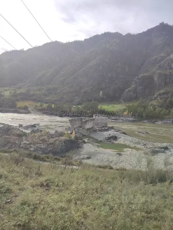Участок в Алтай, Чемальский район, с. Еланда Новая ул. (30.0 сот.) - Фото 2