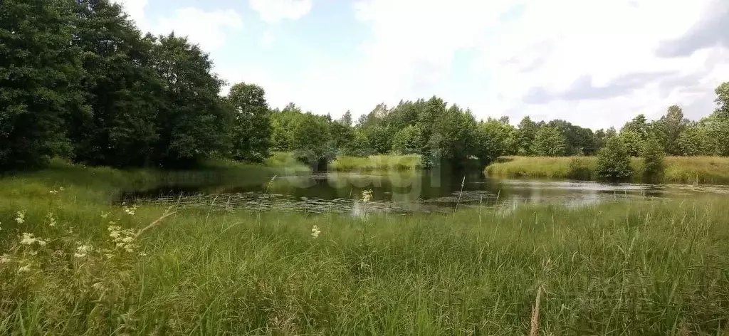 Участок в Владимирская область, Судогодский район, Муромцевское ... - Фото 1