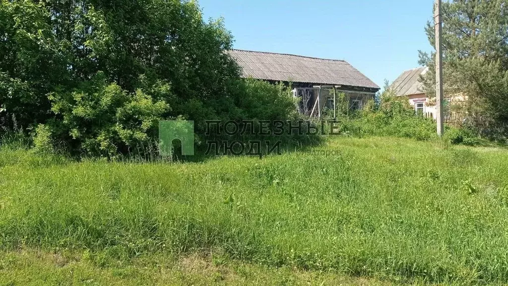 Участок в Орловская область, Орловский район, д. Кнубрь 67 (33.0 сот.) - Фото 0
