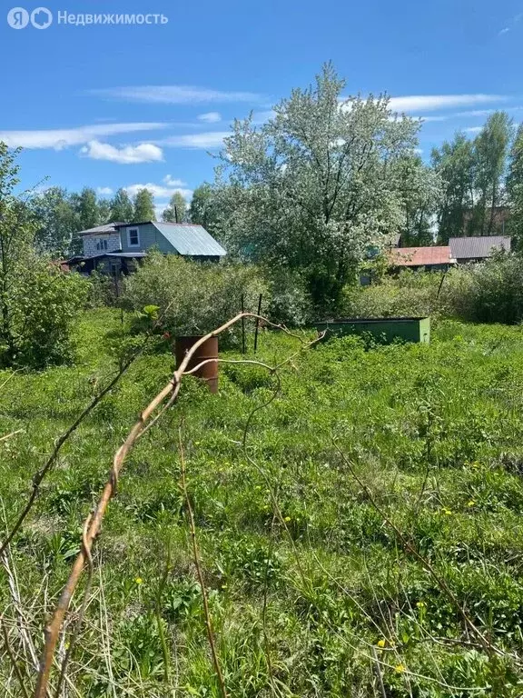 Участок в Алтайский край, городской округ Барнаул, посёлок ... - Фото 2