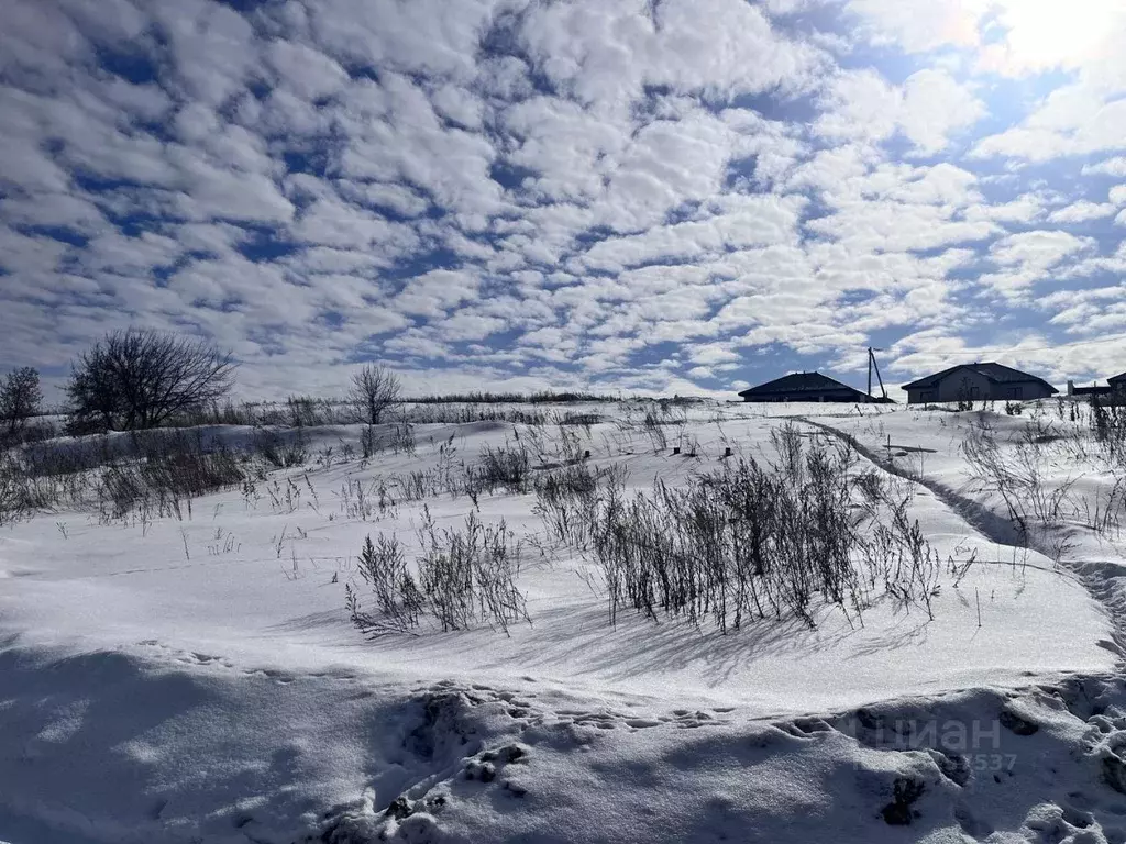 Участок в Самарская область, Волжский район, Черноречье с/пос, с. ... - Фото 1