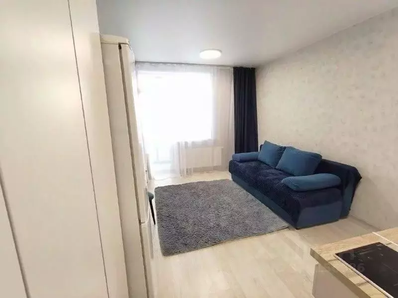 Студия Свердловская область, Екатеринбург ул. Крауля, 107/4 (26.0 м) - Фото 1