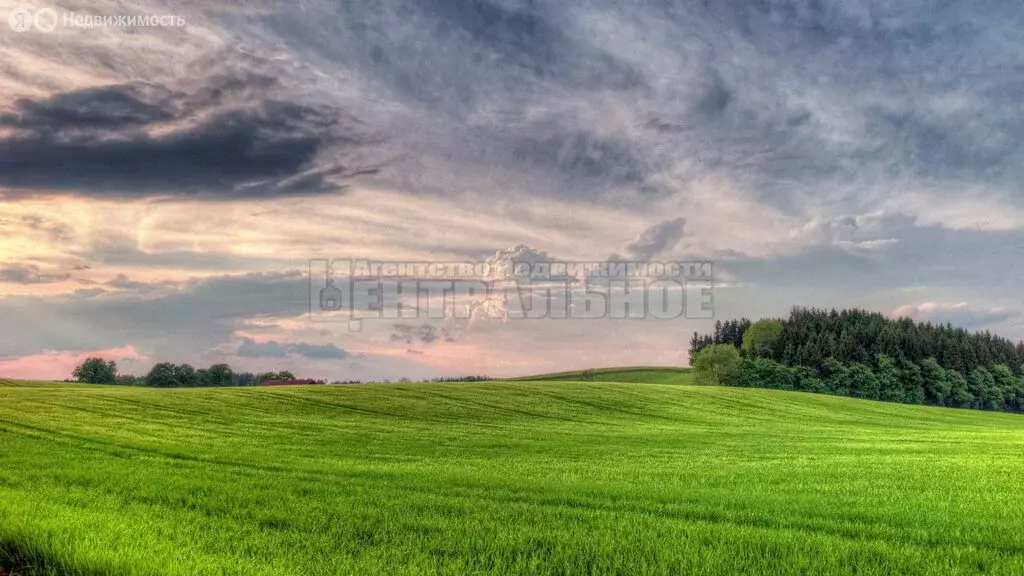 Участок в Смоленский район, село Талашкино (500 м) - Фото 0