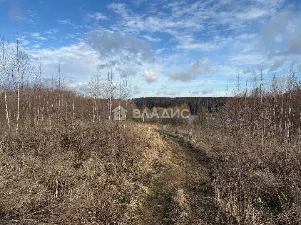 Продается участок в д. Спасское - Фото 0