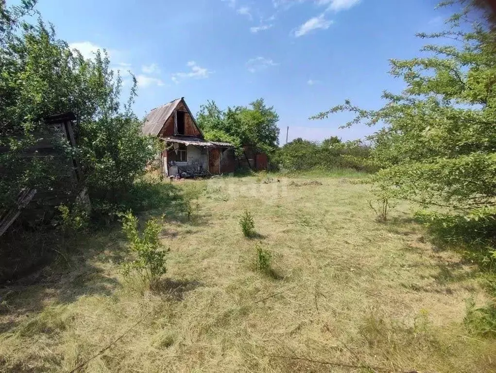 Дом в Воронежская область, Каширский район, Боевское с/пос, Экспресс ... - Фото 1