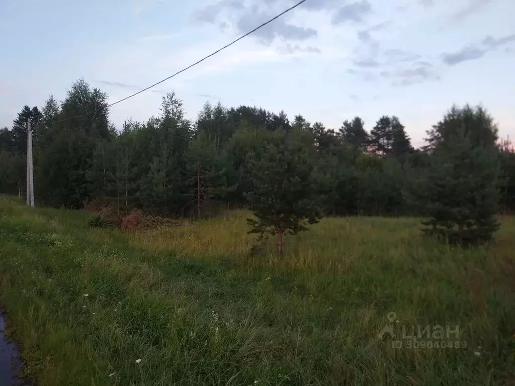 Участок в Тверская область, Калининский муниципальный округ, д. Козино ... - Фото 0