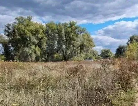Участок в Волгоградская область, Среднеахтубинский район, Красное ... - Фото 1