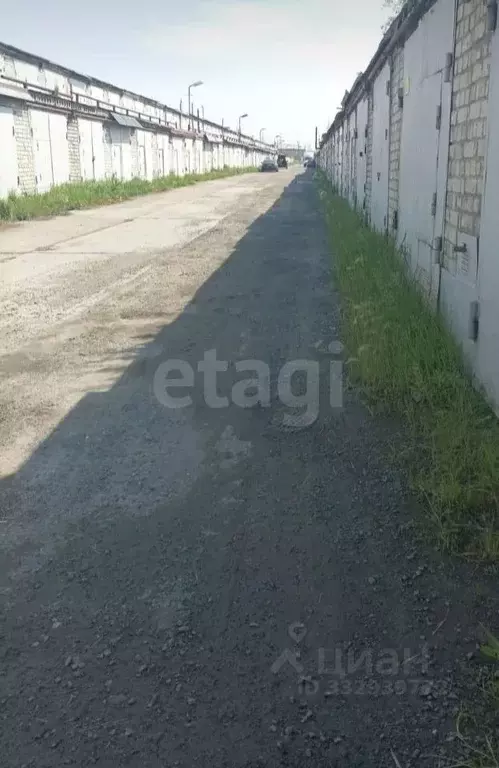 Гараж в Тюменская область, Тюмень ул. Ветеранов Труда, 36А (30 м) - Фото 2