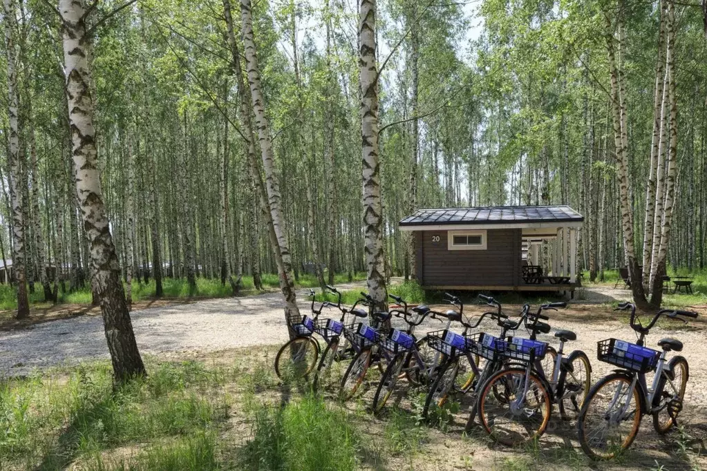 Дом в Рязанская область, Рыбновский район, Пощуповское с/пос, с. ... - Фото 2