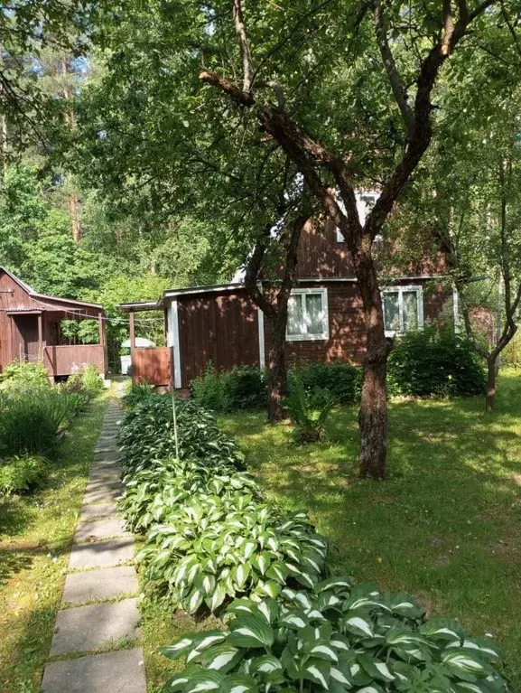 Дом в Московская область, Одинцовский городской округ, СН Сосны СТ 42 ... - Фото 0