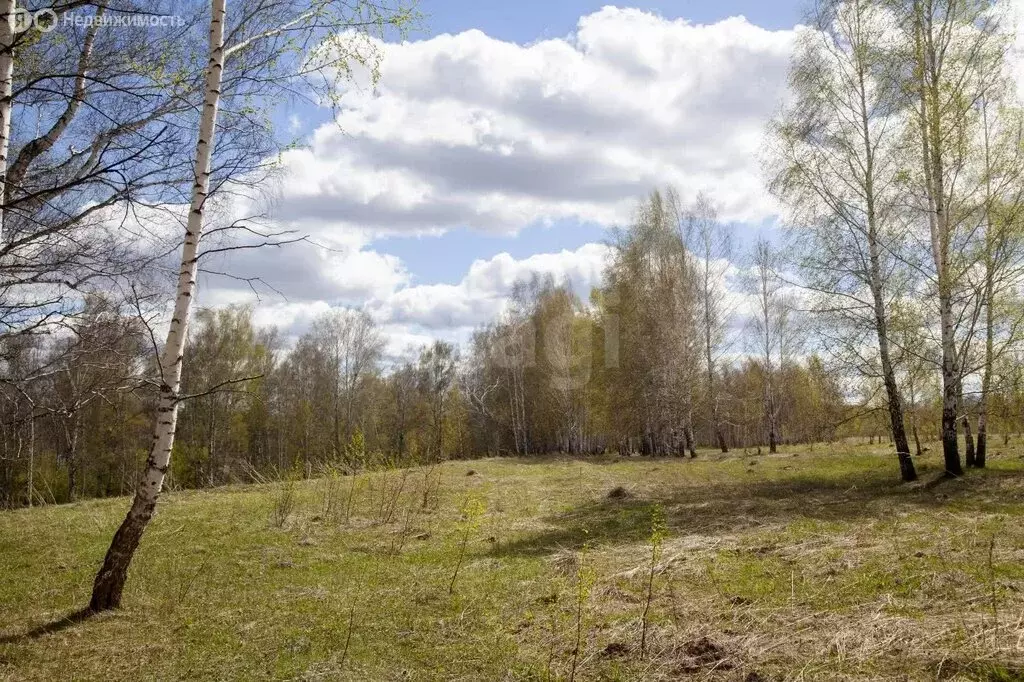 Участок в Мошковский район, село Сокур (2010 м) - Фото 0