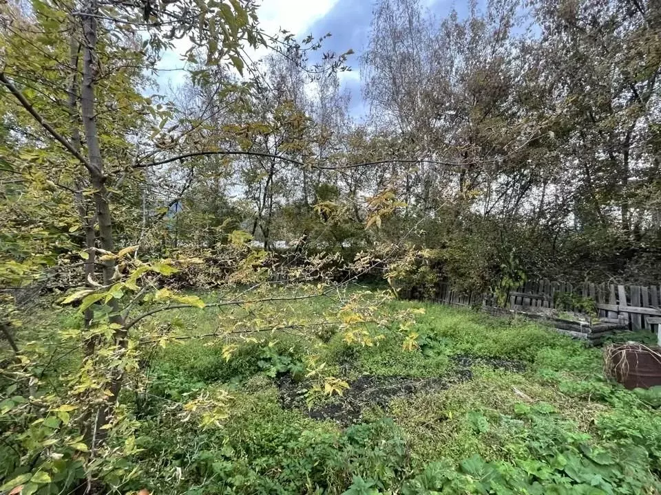 Дом в Красноярский край, Дивногорск городской округ, пос. Слизнево ул. ... - Фото 1