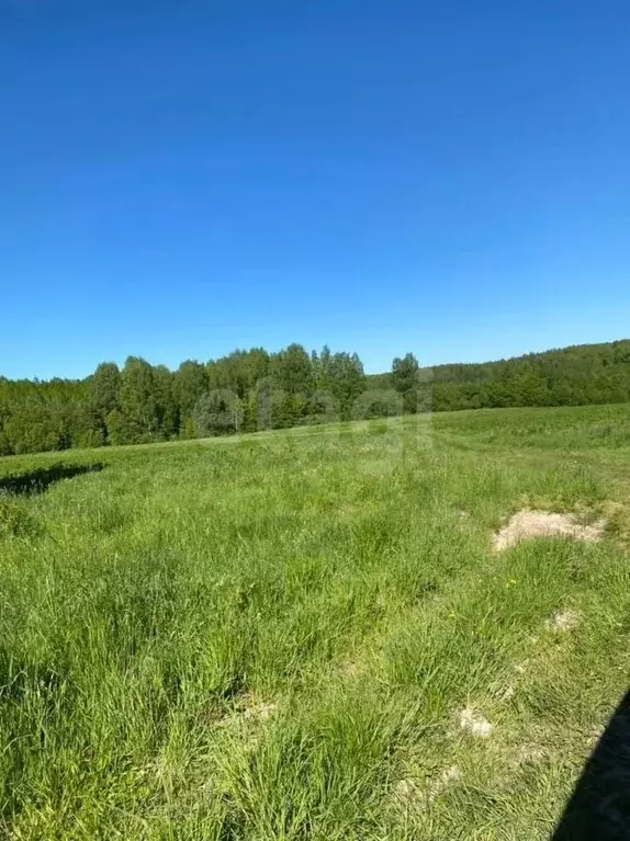 Участок в Вологодская область, д. Игнатово  (15.0 сот.) - Фото 2