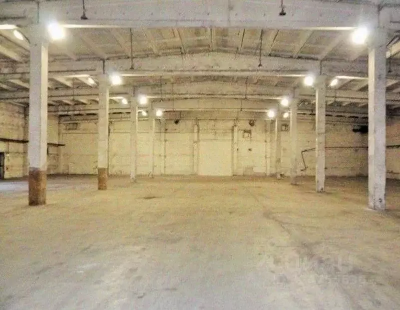 Склад в Ленинградская область, Гатчинский муниципальный округ, пос. ... - Фото 2