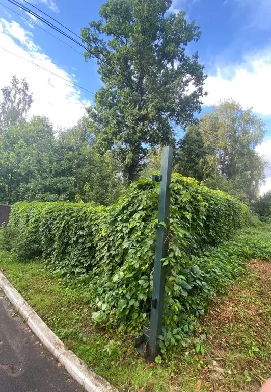 Участок в Московская область, Наро-Фоминский городской округ, д. ... - Фото 0