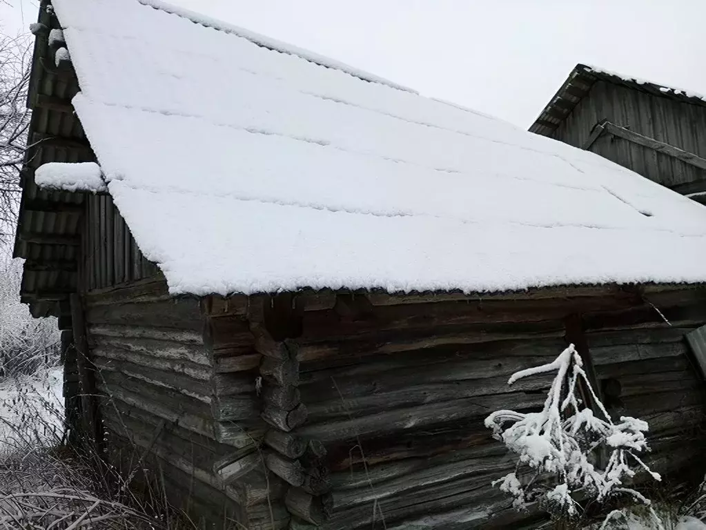 Участок в Костромская область, Судиславский муниципальный округ, д. ... - Фото 1
