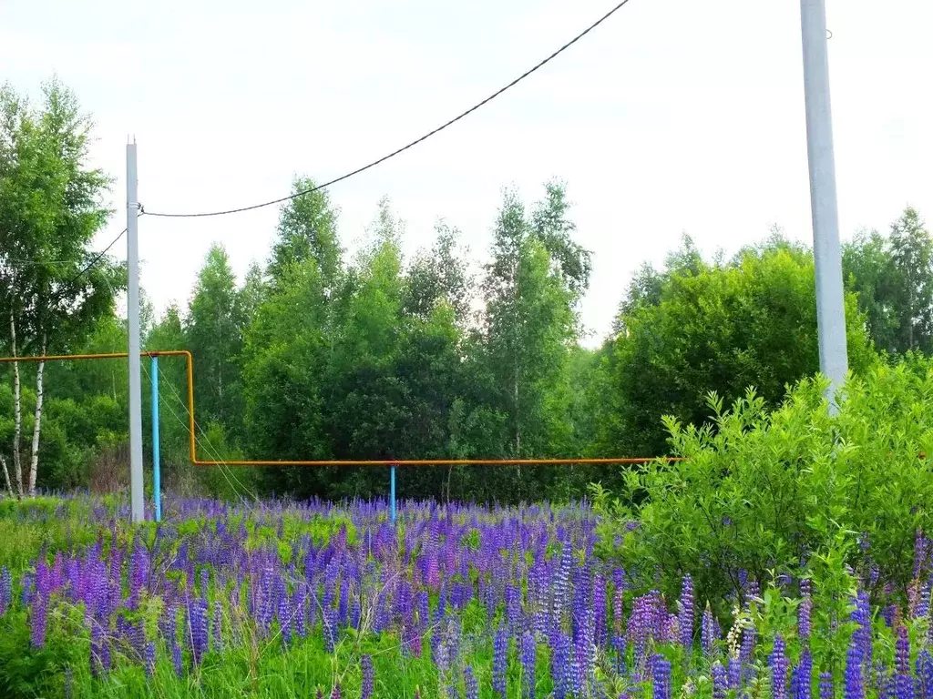 Участок в Нижегородская область, Богородский муниципальный округ, д. ... - Фото 0