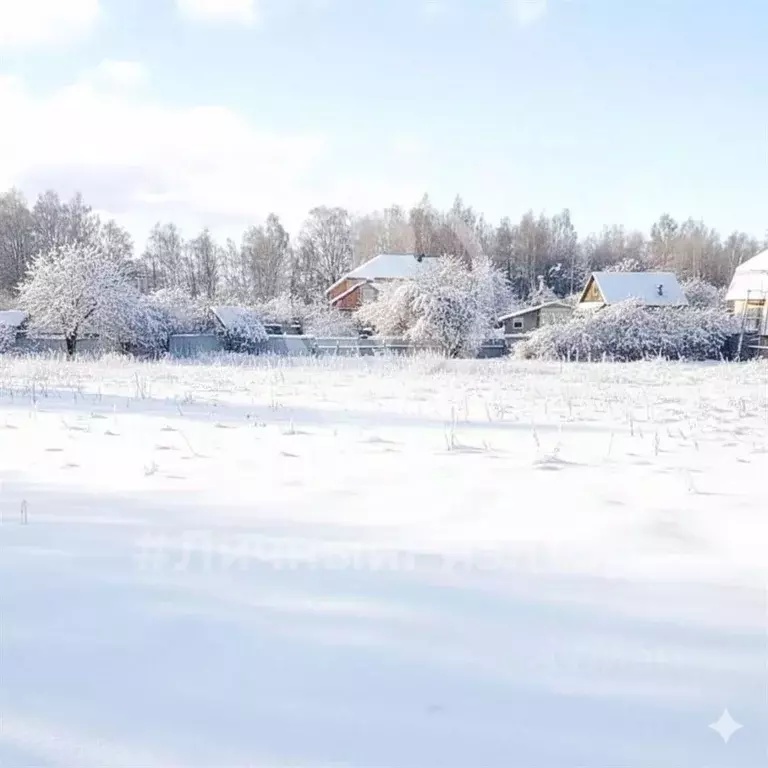 Участок в Рязанская область, Рязанский муниципальный округ, с. Семкино ... - Фото 2
