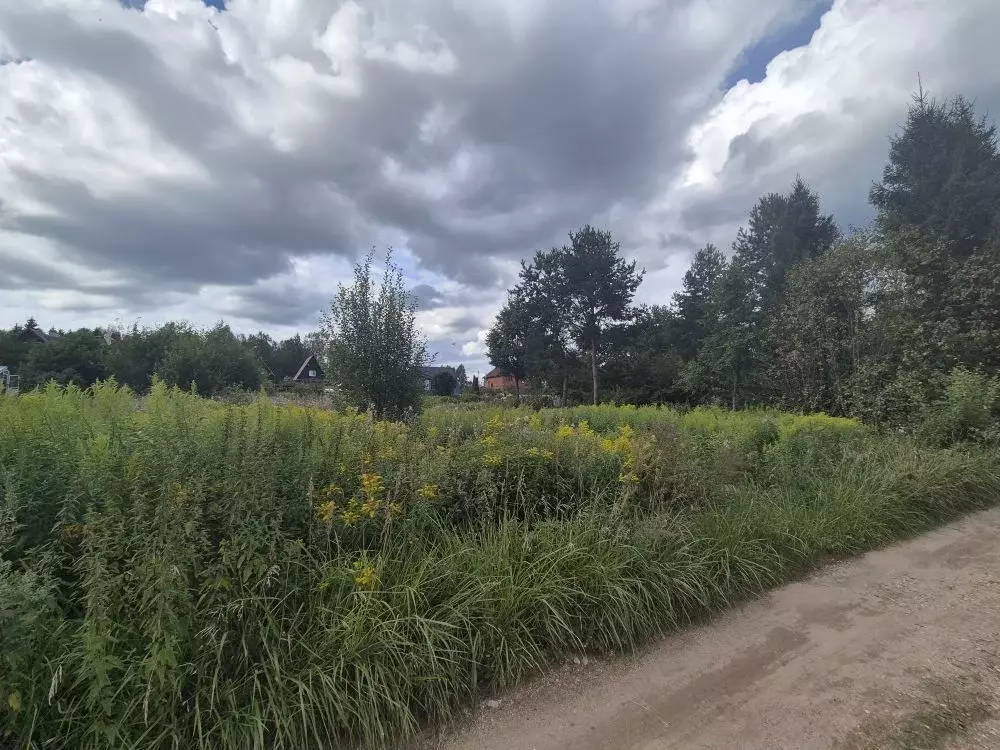 Участок в Московская область, Рузский муниципальный округ, Доваторовец ... - Фото 1