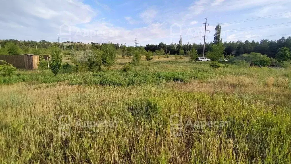 Участок в Волгоградская область, Волгоград ул. Природная (13.31 сот.) - Фото 1