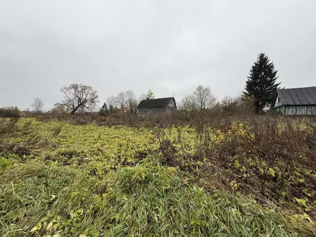 Участок в Московская область, Наро-Фоминский городской округ, д. ... - Фото 1