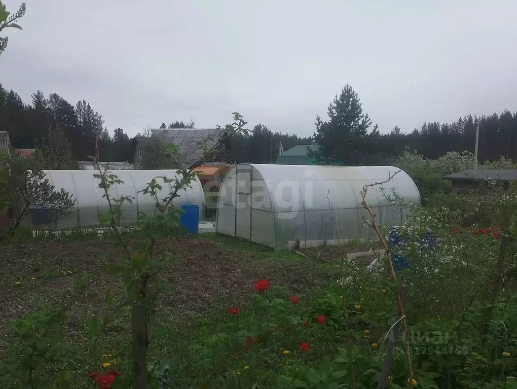 Дом в Свердловская область, Нижний Тагил Белая Ватиха КС,  (20 м) - Фото 0