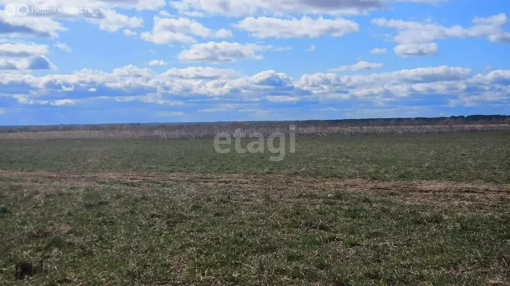 Участок в Республика Коми, муниципальный район Сыктывдинский, ... - Фото 1