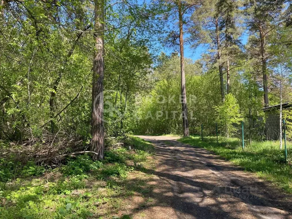 Участок в Новосибирская область, Новосибирск Дачное ш. (135.82 сот.) - Фото 1