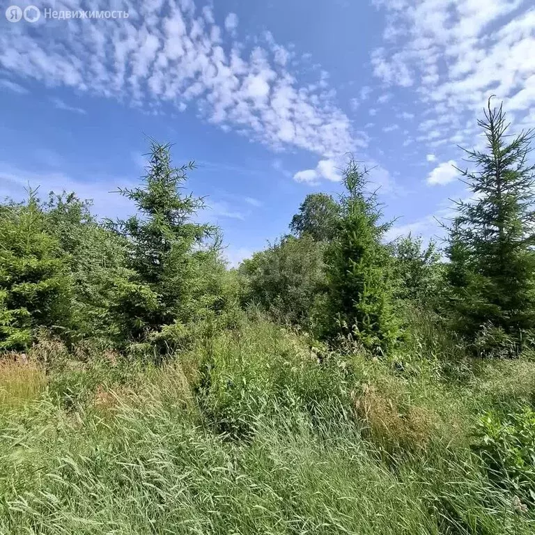 Дом в Чугунаево, Береговая улица (54 м) - Фото 1