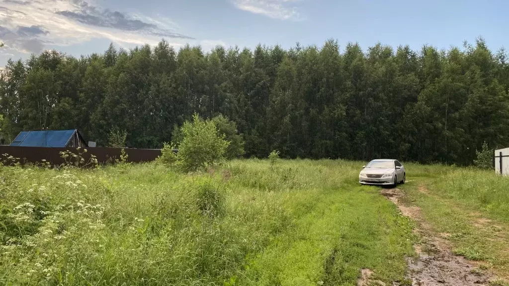 Участок в Нижегородская область, Сокольский городской округ, д. ... - Фото 1