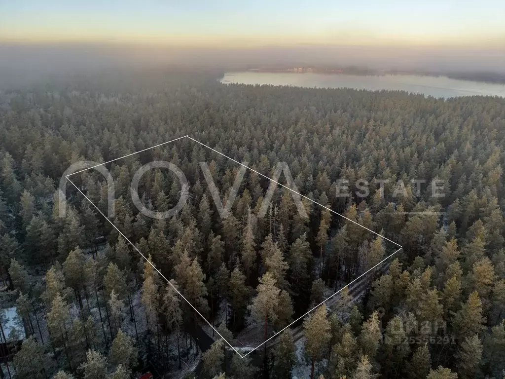 Участок в Ленинградская область, Выборгский район, Первомайское с/пос, ... - Фото 1