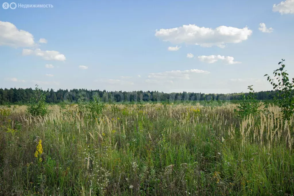 Участок в Жуковский район, деревня Чубарово (385 м) - Фото 0