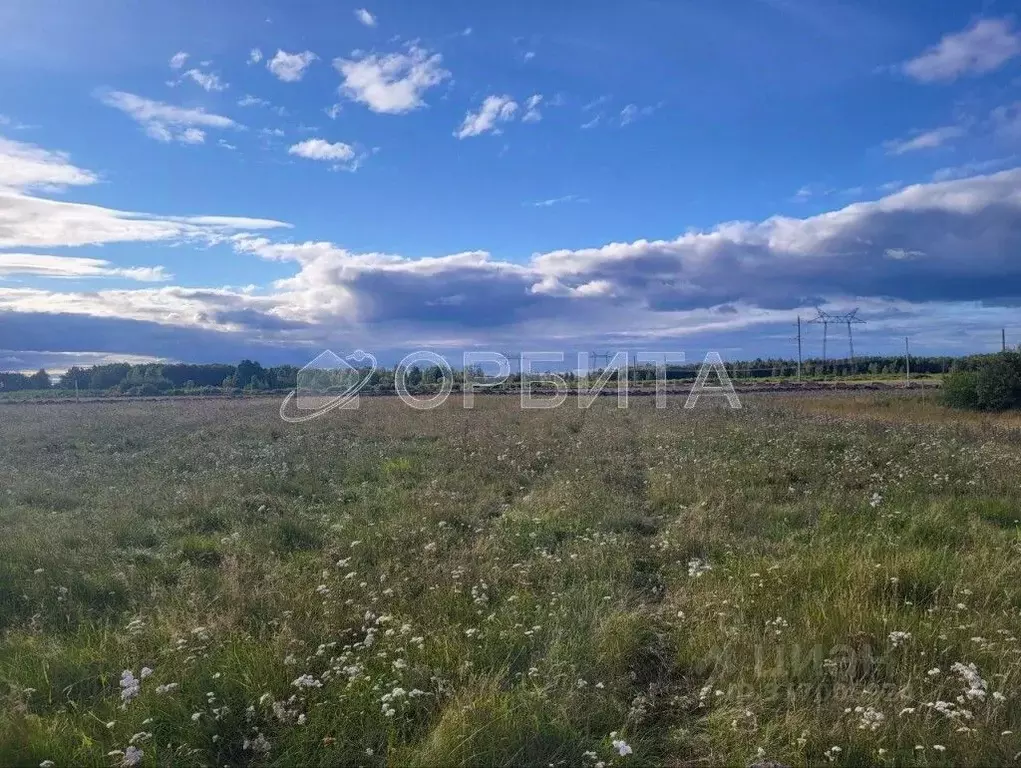 Участок в Тюменская область, Тюменский район, с. Щербак  (20.25 сот.) - Фото 0