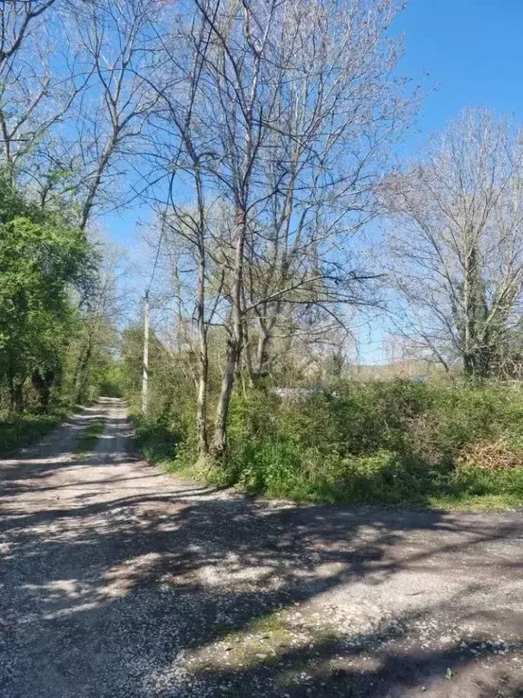 Участок в Краснодарский край, Геленджик городской округ, с. Береговое ... - Фото 1