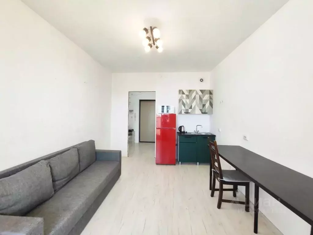 Студия Санкт-Петербург ул. Плесецкая, 10 (23.5 м) - Фото 1