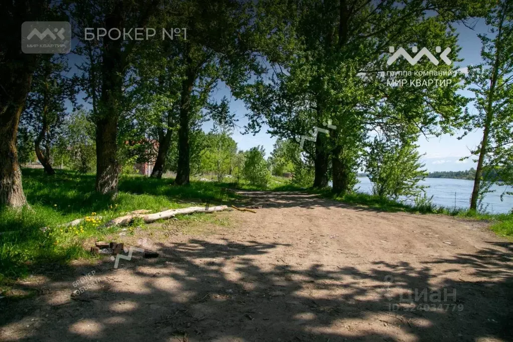 Участок в Ленинградская область, Всеволожский район, Имени Свердлова ... - Фото 2