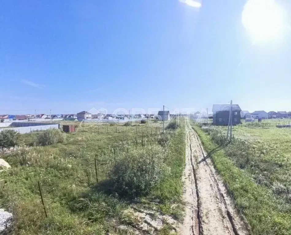 Участок в Тюменская область, Тюменский район, с. Чикча ул. Николая ... - Фото 1
