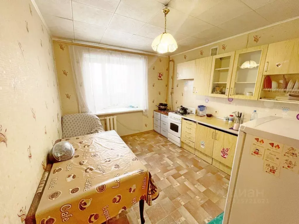 1-к кв. Пензенская область, Пенза ул. Кижеватова, 2 (42.0 м) - Фото 1