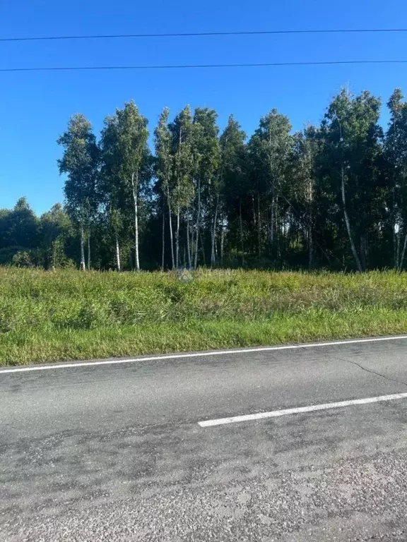 Участок в Тюменская область, Нижнетавдинский район, Здоровье-3 СТ ул. ... - Фото 1