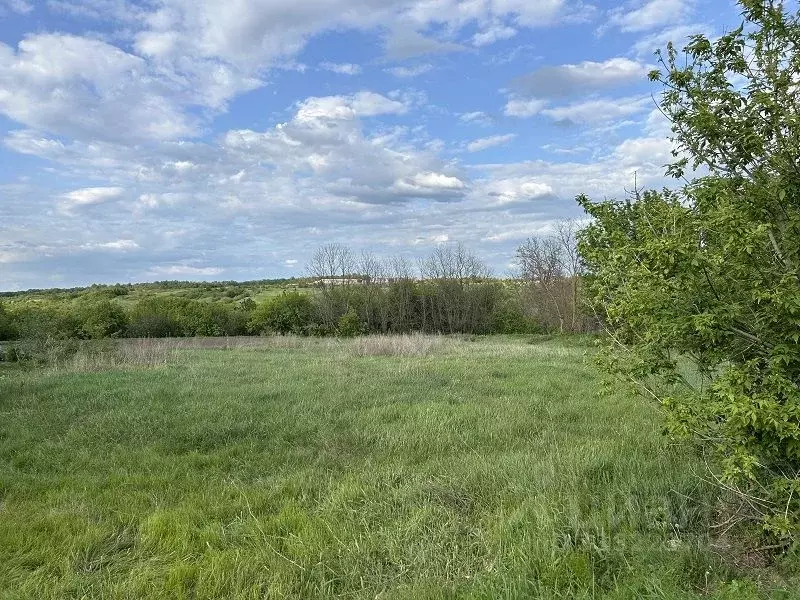 Дом в Воронежская область, Россошанский район, Старокалитвенское ... - Фото 2
