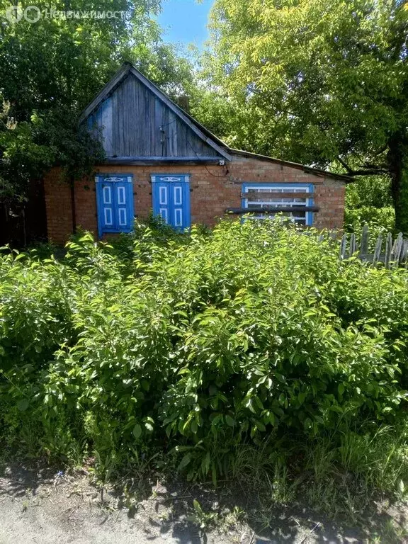 Дом в Ростовская область, Новошахтинск (40 м) - Фото 1