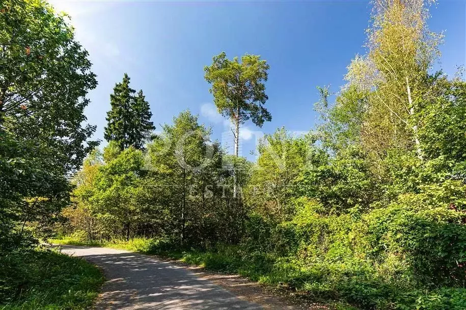 Участок в Московская область, Одинцовский городской округ, АОЗТ Грант ... - Фото 1